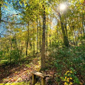 Bono 2 sesiones Tania Pérez